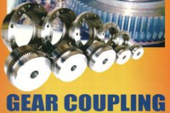 Gear Coupling