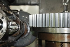 Spur Gear
